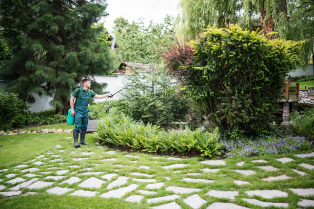 Best Local Pest Control Services  in Kremmling, CO